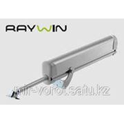 Привод RAYWIN, 450Н, 230В, ход 300 мм фото
