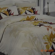 Полутороспальные комплекты постельного белья из ранфорса Турция фото