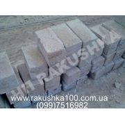 Камень ракушечник М-25 фото