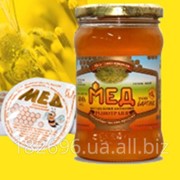 Мед натуральный ПЭТ 1 кг. фото