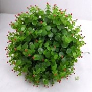 Искусственный шар (красные ягоды), d 35 см фото