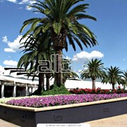 Оздоровление и лечение за границей фото