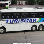 Перевозки автобусные туристические