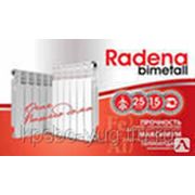 Радиатор биметаллический RADENA 500х80 (10сек.)