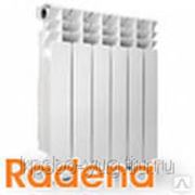 Радиатор алюминиевый RADENA 350х80 (8секций) фотография