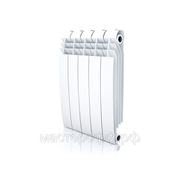 Секционный биметаллический радиатор RoyalThermo BiLiner Inox 500 /10 секции/ фото