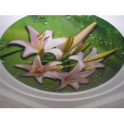 Офсетная печать фото