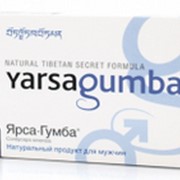 ЯрсаГумба — препарат традиционной тибетской медицины фото