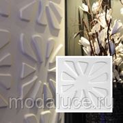 3D дизайнерская эко панель Caryotas фото