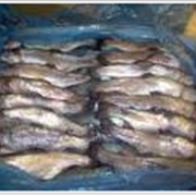 Сельд атлантическая крупным оптом в Украине и странах СНГ, скумбрия и другая замороженная рыба фото