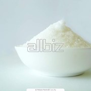 Сахар белый фотография