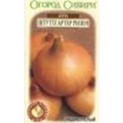 Лук “Штуттгартер-ризен“ фото