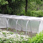 Парник“Огурчик“ под плёнку1*4,5*1,1 фото