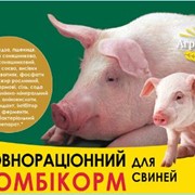 Комбікорм для свиней Агро-Рось фото