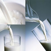 Молочная продукция фото