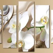 Пятипанельная модульная картина 80 х 140 см Белая орхидея на бежевом фоне с узорами фотография