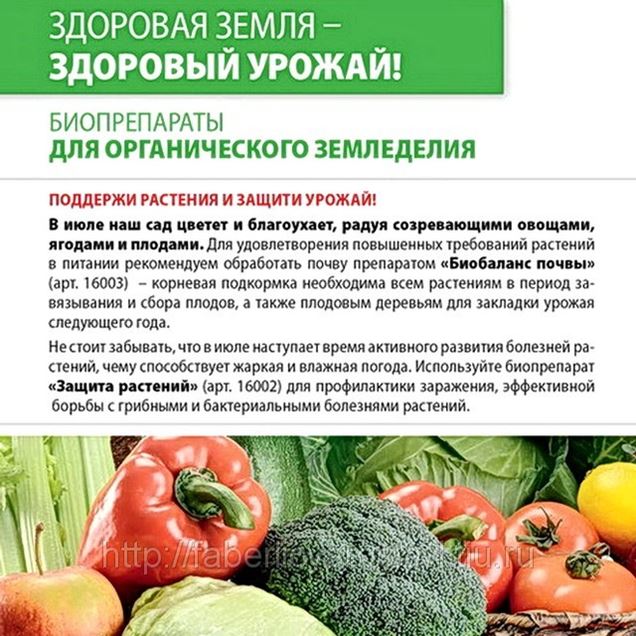 Здоровая Земля Препарат Купить В Москве