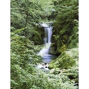 Фотообои “Весенний водопад“ Wizard&Genius (Швейцария) фото