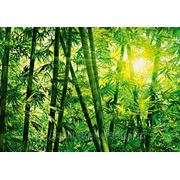 Фотообои “Бамбуковый лес“ Wizard&Genius (Швейцария) фото