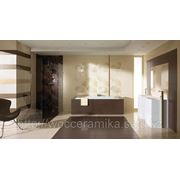 Керамическая плитка Delicat / Touch фото