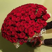 Букет 101 роза красного цвета, высота 50-55 см фото