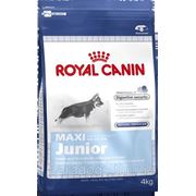 Корм Royal Canin Д/Собак Макси Юниор 4кг. фото
