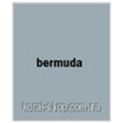 Затирка для швов Baumit Premium Fuge bermuda (Баумит Премиум Фуге)
