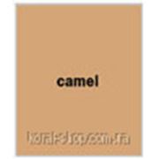 Затирка для швов Baumit Premium Fuge camel -капучино (Баумит Премиум Фуге)