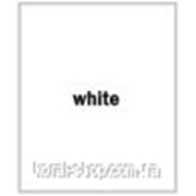 Затирка для швов Baumit Premium Fuge white - белая (Баумит Премиум Фуге) фото