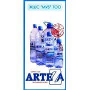 Питьевая вода Arteza 0,33л фото