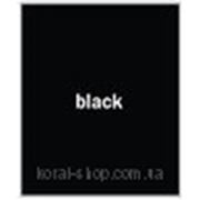 Затирка для швов Baumit Premium Fuge black - черный (Баумит Премиум Фуге) фото