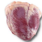 Сердце говяжье | ООО Агропродукт