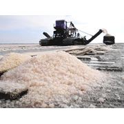 Реализация соли в Казахстане