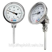 Термометр Биметаллический ТБ-4-100-1 L=60мм фотография