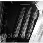 Защита радиатора BMW R1200GS 2013 фотография