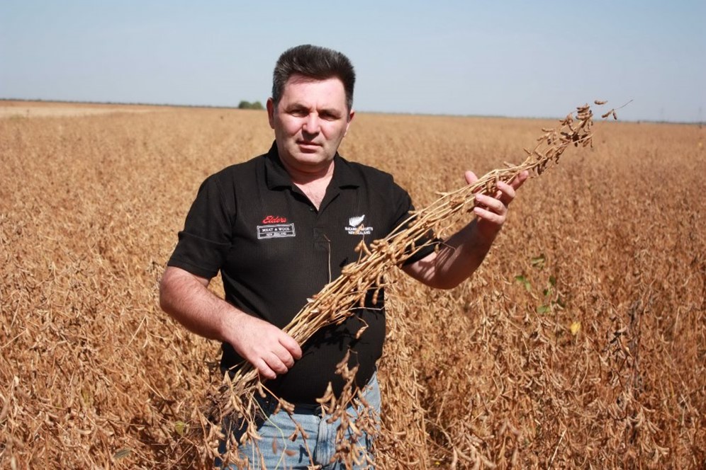 Купить Семена Сои В Орловской Области