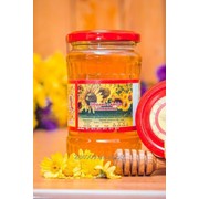 Мед натуральний із квітів соняшника банка 480г