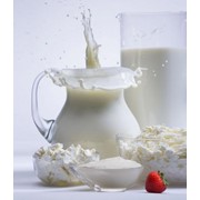 Оборудование для молочных производств фото