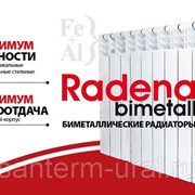 Радиатор биметалл RADENA 350/85/12 секций