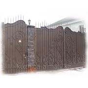 Ворота кованые с дверью
