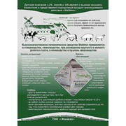Средства по уходу за домашними животными Staldren фото