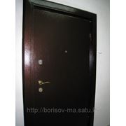 Дверь металлическая утепленная фото