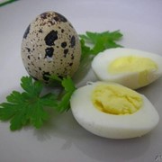 Яйцо перепелиное пищевое столовое фото