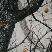 Ткань камуфлированная принт “Лес клён“ фото