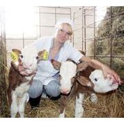 абонентское обслуживание сельхозпредприятий фото