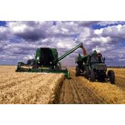 Уборка урожая зерновых сепарация зерна