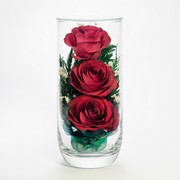 Роза в стекле tm NFP Cs-R1