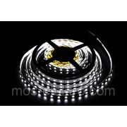 LS 5050 12V 60led/m CW (дневная) 5m 72W фото