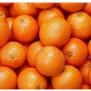 Отдушки: Отдушки Апельсин 10 мл фото