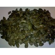 Семена тыквы голосемянной фото